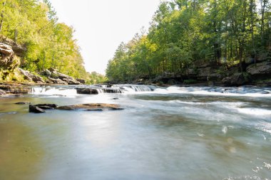 Minnesota 'daki bir eyalet parkında ağaçlarla çevrili su, nehir ve göl manzaraları. Yüksek kaliteli bir fotoğraf..