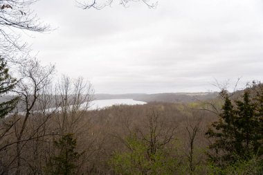 Minnesota 'daki bir eyalet parkında ağaçlarla çevrili su, nehir ve göl manzaraları. Yüksek kaliteli bir fotoğraf..