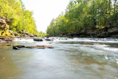 Minnesota 'daki bir eyalet parkında ağaçlarla çevrili su, nehir ve göl manzaraları. Yüksek kaliteli bir fotoğraf..