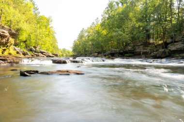 Minnesota 'daki bir eyalet parkında ağaçlarla çevrili su, nehir ve göl manzaraları. Yüksek kaliteli bir fotoğraf..