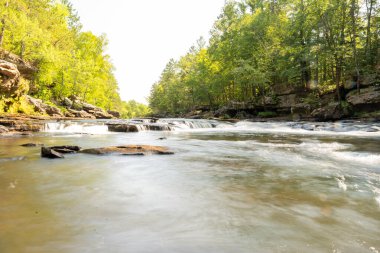 Minnesota 'daki bir eyalet parkında ağaçlarla çevrili su, nehir ve göl manzaraları. Yüksek kaliteli bir fotoğraf..
