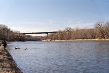 Minnesota 'daki bir eyalet parkında ağaçlarla çevrili su, nehir ve göl manzaraları. Yüksek kaliteli bir fotoğraf..