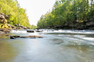 Minnesota 'daki bir eyalet parkında ağaçlarla çevrili su, nehir ve göl manzaraları. Yüksek kaliteli bir fotoğraf..