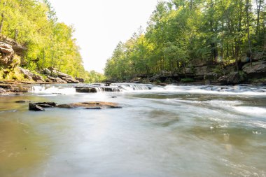 Minnesota 'daki bir eyalet parkında ağaçlarla çevrili su, nehir ve göl manzaraları. Yüksek kaliteli bir fotoğraf..