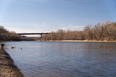 Minnesota 'daki bir eyalet parkında ağaçlarla çevrili su, nehir ve göl manzaraları. Yüksek kaliteli bir fotoğraf..