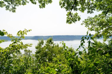 Minnesota 'daki bir eyalet parkında ağaçlarla çevrili su, nehir ve göl manzaraları. Yüksek kaliteli bir fotoğraf..