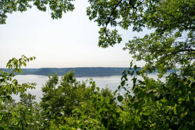 Minnesota 'daki bir eyalet parkında ağaçlarla çevrili su, nehir ve göl manzaraları. Yüksek kaliteli bir fotoğraf..