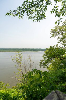 Minnesota 'daki bir eyalet parkında ağaçlarla çevrili su, nehir ve göl manzaraları. Yüksek kaliteli bir fotoğraf..