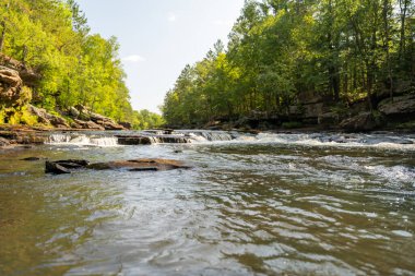 Minnesota 'daki bir eyalet parkında ağaçlarla çevrili su, nehir ve göl manzaraları. Yüksek kaliteli bir fotoğraf..