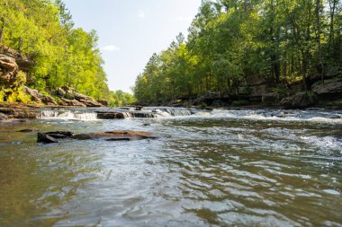 Minnesota 'daki bir eyalet parkında ağaçlarla çevrili su, nehir ve göl manzaraları. Yüksek kaliteli bir fotoğraf..