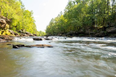 Minnesota 'daki bir eyalet parkında ağaçlarla çevrili su, nehir ve göl manzaraları. Yüksek kaliteli bir fotoğraf..