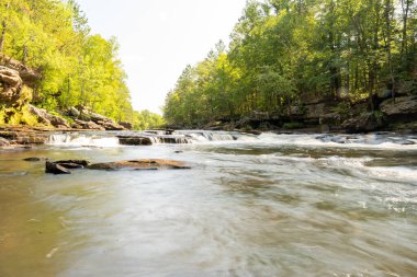 Minnesota 'daki bir eyalet parkında ağaçlarla çevrili su, nehir ve göl manzaraları. Yüksek kaliteli bir fotoğraf..