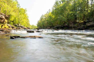 Minnesota 'daki bir eyalet parkında ağaçlarla çevrili su, nehir ve göl manzaraları. Yüksek kaliteli bir fotoğraf..