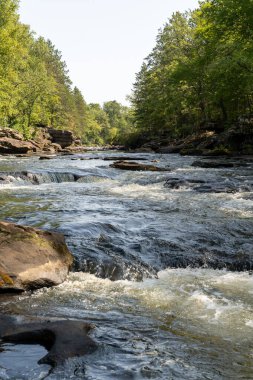 Minnesota 'daki bir eyalet parkında ağaçlarla çevrili su, nehir ve göl manzaraları. Yüksek kaliteli bir fotoğraf..