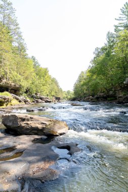 Minnesota 'daki bir eyalet parkında ağaçlarla çevrili su, nehir ve göl manzaraları. Yüksek kaliteli bir fotoğraf..