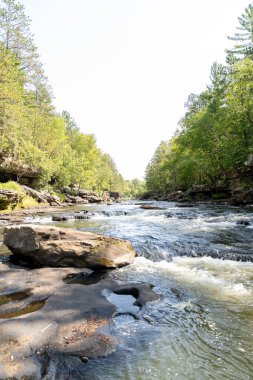 Minnesota 'daki bir eyalet parkında ağaçlarla çevrili su, nehir ve göl manzaraları. Yüksek kaliteli bir fotoğraf..