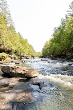 Minnesota 'daki bir eyalet parkında ağaçlarla çevrili su, nehir ve göl manzaraları. Yüksek kaliteli bir fotoğraf..