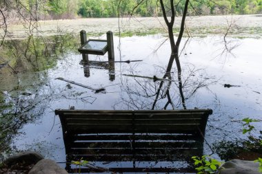 Minnesota 'daki bir eyalet parkında ağaçlarla çevrili su, nehir ve göl manzaraları. Yüksek kaliteli bir fotoğraf..