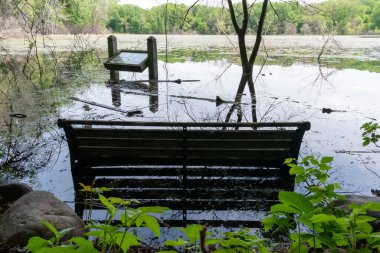 Minnesota 'daki bir eyalet parkında ağaçlarla çevrili su, nehir ve göl manzaraları. Yüksek kaliteli bir fotoğraf..