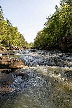 Minnesota 'daki bir eyalet parkında ağaçlarla çevrili su, nehir ve göl manzaraları. Yüksek kaliteli bir fotoğraf..