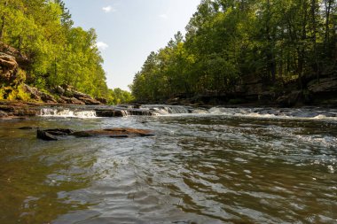 Minnesota 'daki bir eyalet parkında ağaçlarla çevrili su, nehir ve göl manzaraları. Yüksek kaliteli bir fotoğraf..