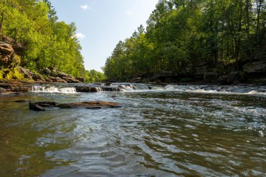 Minnesota 'daki bir eyalet parkında ağaçlarla çevrili su, nehir ve göl manzaraları. Yüksek kaliteli bir fotoğraf..