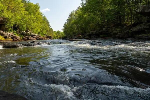 Minnesota 'daki bir eyalet parkında ağaçlarla çevrili su, nehir ve göl manzaraları. Yüksek kaliteli bir fotoğraf..