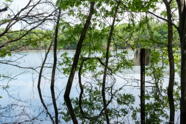 Minnesota 'daki bir eyalet parkında ağaçlarla çevrili su, nehir ve göl manzaraları. Yüksek kaliteli bir fotoğraf..