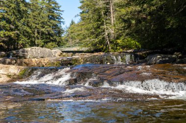 Minnesota 'daki bir eyalet parkında ağaçlarla çevrili su, nehir ve göl manzaraları. Yüksek kaliteli bir fotoğraf..