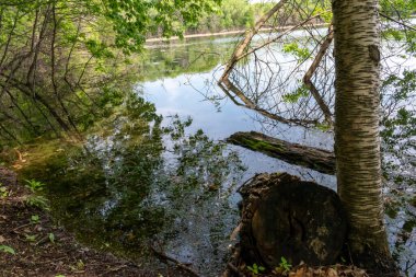 Minnesota 'daki bir eyalet parkında ağaçlarla çevrili su, nehir ve göl manzaraları. Yüksek kaliteli bir fotoğraf..