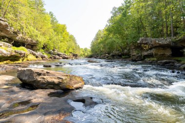 Minnesota 'daki bir eyalet parkında ağaçlarla çevrili su, nehir ve göl manzaraları. Yüksek kaliteli bir fotoğraf..