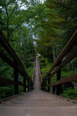 Tahta bir kaldırımın ufukta kayboluşunun yakın görüntüsü. Ufukta, Duluth, Minnesota 'da çekilmiş ağaçlar, bitkiler ve çalılarla çevrili yüksek kaliteli bir yol fotoğrafı..