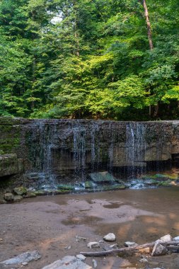Kayalar, bitkiler, çalılar ve ağaçlarla çevrili yemyeşil ve yemyeşil bir ormanda saklı bir şelale manzarası. Minnesota, Nerstrand 'da çekilmiş kaliteli bir fotoğraf..