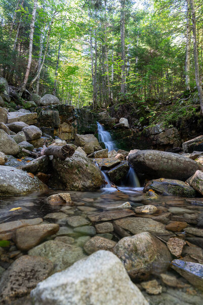 A beautiful view of a waterfall hidden away in a lush and green forest surrounded by rocks, plants, bushes, and trees. A high-quality photo taken in White Mountain National Forest, New Hampshire.