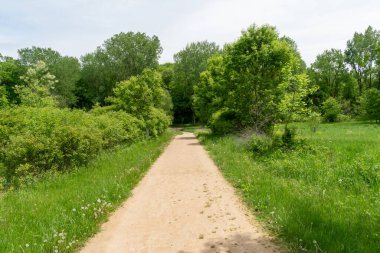 Ağaçlar ve bitkilerle çevrili bir eyalet parkında ufka giden yürüyüş yolu. Minnesota 'da yüksek kaliteli bir fotoğraf..