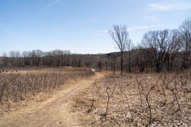 Ufukta, kışın ağaçlar ve bitkilerle çevrili yerel bir eyalet parkında yürüyüş yolu var. Minnesota 'da yüksek kaliteli bir fotoğraf..