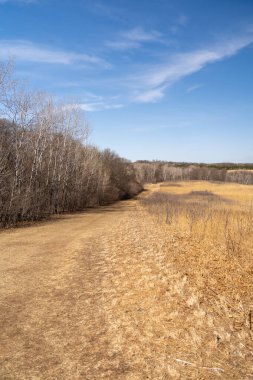 Ufukta, kışın ağaçlar ve bitkilerle çevrili yerel bir eyalet parkında yürüyüş yolu var. Minnesota 'da yüksek kaliteli bir fotoğraf..
