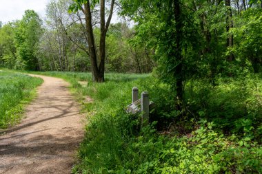 Ağaçlar ve bitkilerle çevrili bir eyalet parkında ufka giden yürüyüş yolu. Minnesota 'da yüksek kaliteli bir fotoğraf..