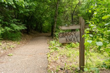 Ağaçlar ve bitkilerle çevrili bir eyalet parkında ufka giden yürüyüş yolu. Minnesota 'da yüksek kaliteli bir fotoğraf..