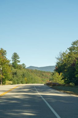 Beyaz Dağ Ulusal Ormanı 'nda bir sürü yemyeşil bitki ve ağaçla dolu dağların manzaralı dolambaçlı bir yol. White Mountain Ulusal Ormanı, New Hampshire 'da çekilmiş kaliteli bir fotoğraf..