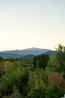 Beyaz Dağ Ulusal Ormanı 'nda bir sürü yemyeşil bitki ve ağacın olduğu güzel bir dağ manzarası. White Mountain Ulusal Ormanı, New Hampshire 'da çekilmiş kaliteli bir fotoğraf..