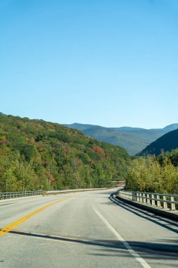 Beyaz Dağ Ulusal Ormanı 'nda bir sürü yemyeşil bitki ve ağaçla dolu dağların manzaralı dolambaçlı bir yol. White Mountain Ulusal Ormanı, New Hampshire 'da çekilmiş kaliteli bir fotoğraf..