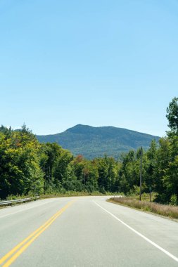 Beyaz Dağ Ulusal Ormanı 'nda bir sürü yemyeşil bitki ve ağacın olduğu güzel bir dağ manzarası. White Mountain Ulusal Ormanı, New Hampshire 'da çekilmiş kaliteli bir fotoğraf..