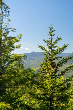 Beyaz Dağ Ulusal Ormanı 'nda bir sürü yemyeşil bitki ve ağacın olduğu güzel bir dağ manzarası. White Mountain Ulusal Ormanı, New Hampshire 'da çekilmiş kaliteli bir fotoğraf..