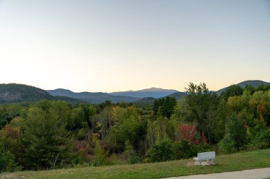 Beyaz Dağ Ulusal Ormanı 'nda bir sürü yemyeşil bitki ve ağacın olduğu güzel bir dağ manzarası. White Mountain Ulusal Ormanı, New Hampshire 'da çekilmiş kaliteli bir fotoğraf..