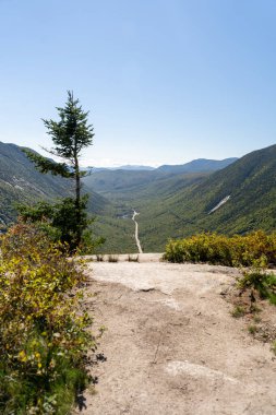 Beyaz Dağ Ulusal Ormanı 'nda bir sürü yemyeşil bitki ve ağacın olduğu güzel bir dağ manzarası. White Mountain Ulusal Ormanı, New Hampshire 'da çekilmiş kaliteli bir fotoğraf..