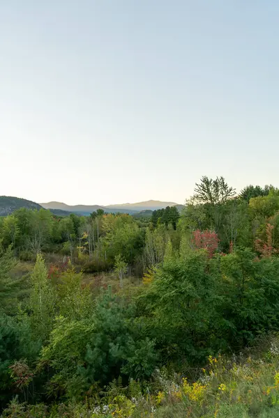 Beyaz Dağ Ulusal Ormanı 'nda bir sürü yemyeşil bitki ve ağacın olduğu güzel bir dağ manzarası. White Mountain Ulusal Ormanı, New Hampshire 'da çekilmiş kaliteli bir fotoğraf..