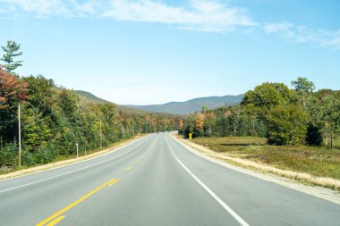 Beyaz Dağ Ulusal Ormanı 'nda bir sürü yemyeşil bitki ve ağacın olduğu güzel bir dağ manzarası. White Mountain Ulusal Ormanı, New Hampshire 'da çekilmiş kaliteli bir fotoğraf..