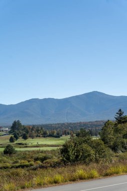 Beyaz Dağ Ulusal Ormanı 'nda bir sürü yemyeşil bitki ve ağacın olduğu güzel bir dağ manzarası. White Mountain Ulusal Ormanı, New Hampshire 'da çekilmiş kaliteli bir fotoğraf..