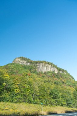 Beyaz Dağ Ulusal Ormanı 'nda bir sürü yemyeşil bitki ve ağaçla dolu dağların manzaralı dolambaçlı bir yol. White Mountain Ulusal Ormanı, New Hampshire 'da çekilmiş kaliteli bir fotoğraf..
